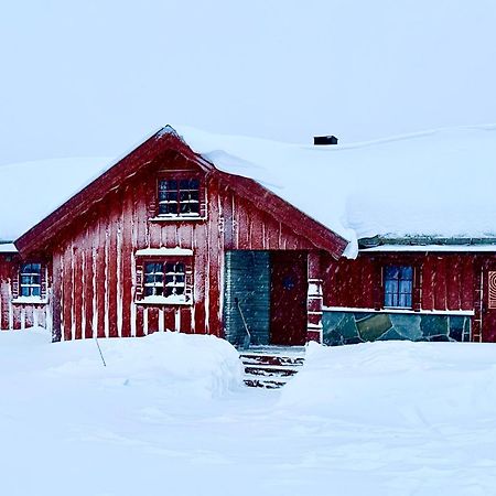 Large Cabin Sjusjoen Best View, Sauna, Ski Inout Экстерьер фото